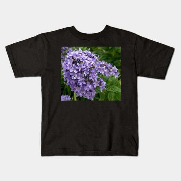 Beautiful Lilac Flowers Closeup Kids T-Shirt by Harmony-Mind